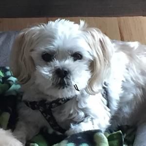 Meet your Posher, Christine